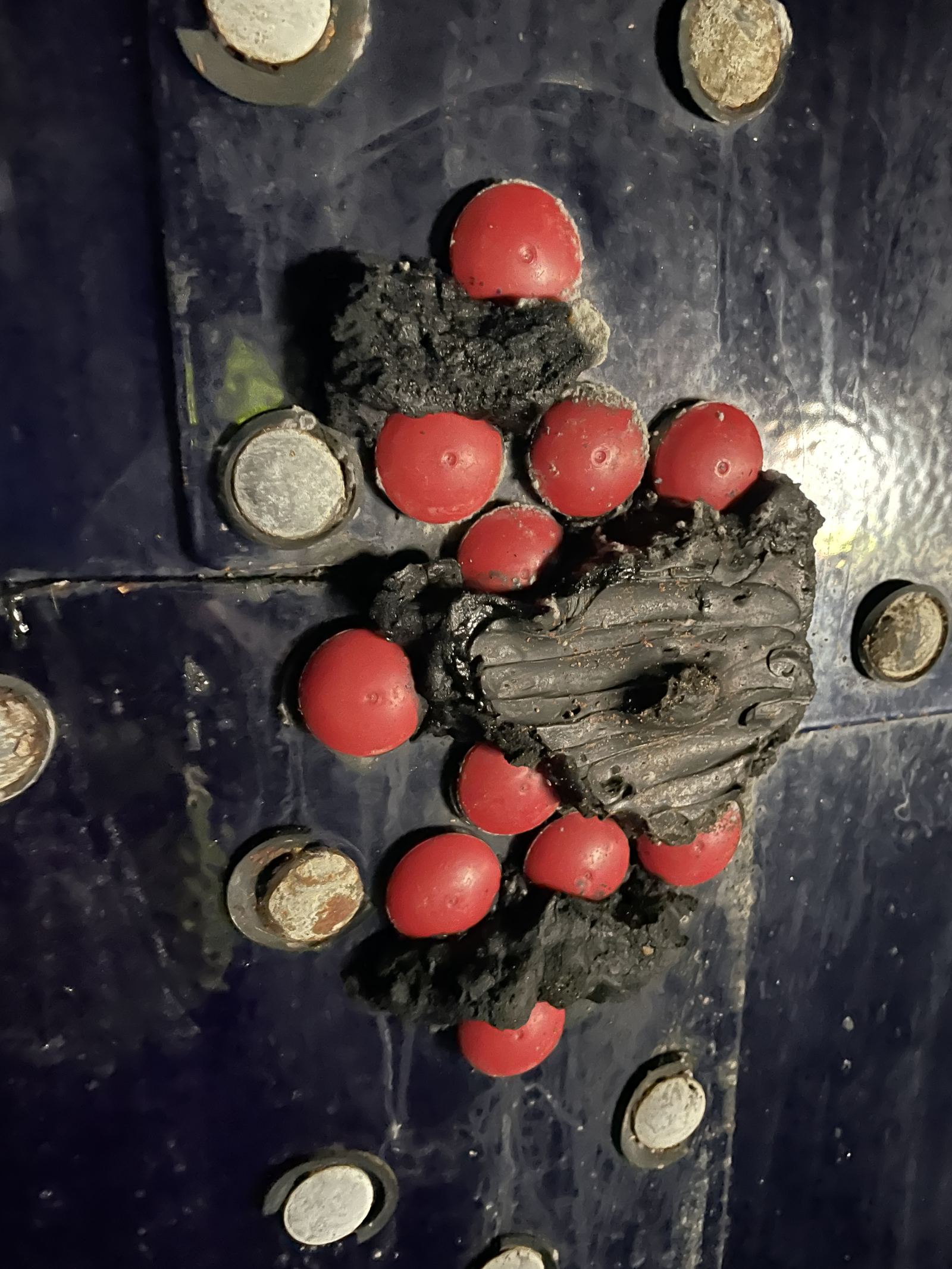 Black mastic sealant applied over bolt caps on a blue tank panel