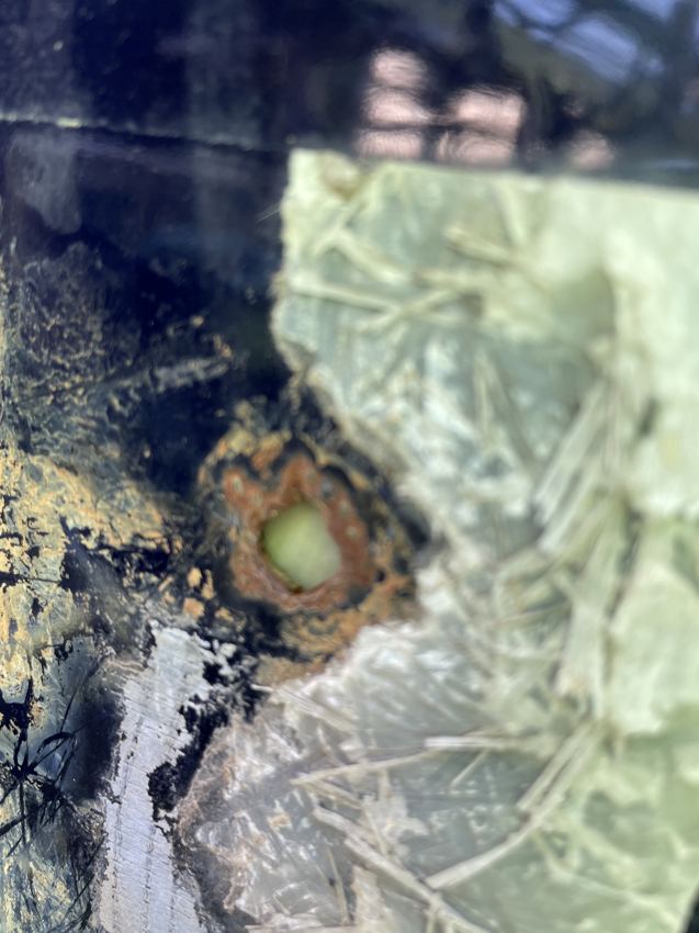 Close-up of a holiday in a glass coating corroding through to the carbon-steel substrate